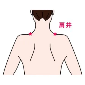 肩井