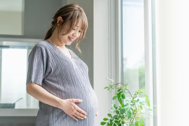 妊娠中の人